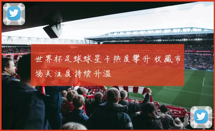 世界杯足球球星卡热度攀升 收藏市场关注度持续升温