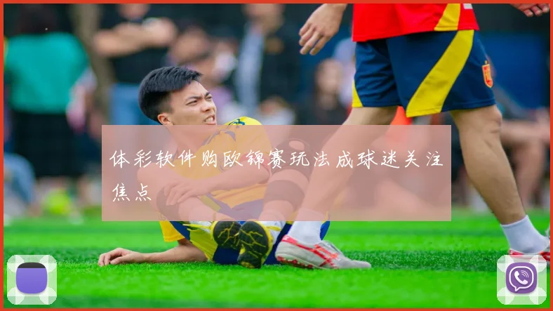 体彩软件购欧锦赛玩法成球迷关注焦点