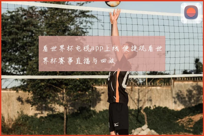 看世界杯电视app上线 便捷观看世界杯赛事直播与回放
