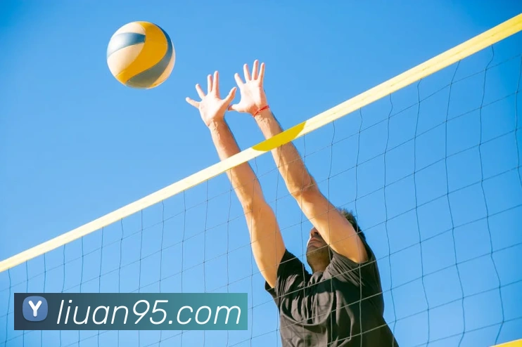 bobapp官网首页服务体系